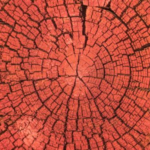 relational neuroscience in practice