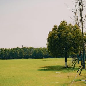 short breaks vs respite care